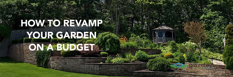 garden revamp on a budget